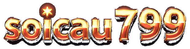 soicau799 logo